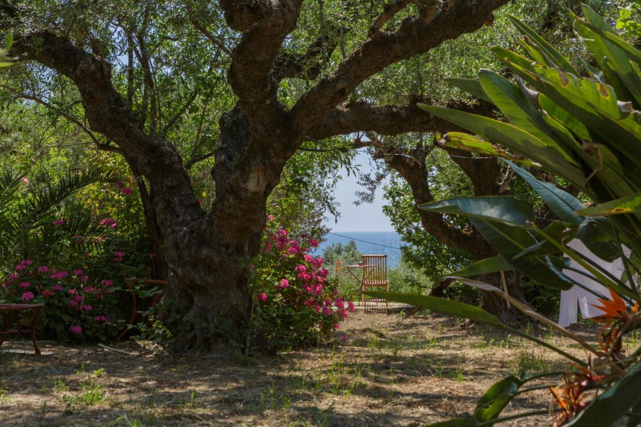 Villa Anta House By The Sea Lithakia  المظهر الخارجي الصورة